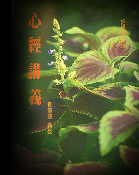 13-06第三區P17-AR-16.著書立說  不離本宗(插畫)-05.jpg